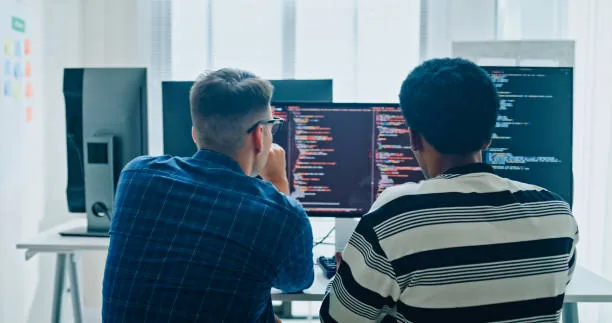 custom-software-development preview